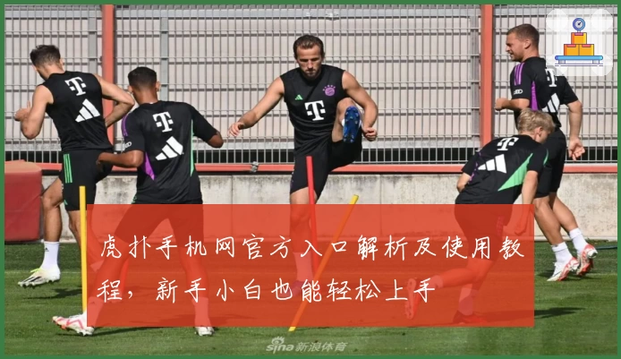 虎扑手机网官方入口解析及使用教程，新手小白也能轻松上手